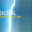 Signal