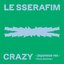 CRAZY (Japanese ver. / Party Remixes)