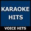 Karaoke Hits: Voice Hits