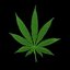 Ganja
