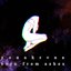 Born From Ashes - Single