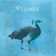 Plumes