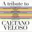 A Tribute To Caetano Veloso