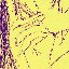 SALINGER - Single