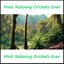 Most Relaxing Crickets Ever
