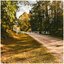 Blue Branch Road