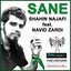 Sane (feat. Navid Zardi)