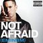 Not Afraid CDS