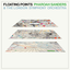 Floating Points, Pharoah Sanders & The London Symphony Orchestra - Promises album artwork