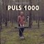 Puls 1000