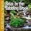 Relax by the Babbling Brook (Music and Nature Sounds)