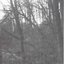 Autumnal Depression