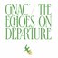 The Echoes On Departure