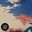 Miss U - Single