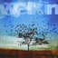 Welkin