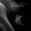 Kosmos