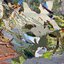 Boston / Escape / Find The Melody