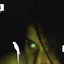 Avatar di veroliveira