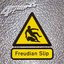 Freudian Slip