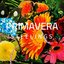 Primavera