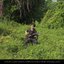 Seven Compositions from Sheung Shui