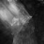 EdOne / Marc Holstege