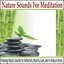 Nature Sounds for Meditation: Relaxing Nature Sounds for Reflection, Mantra, Gom and to Reduce Stress
