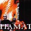 The Musical History of Tiamat