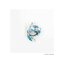 Dead Swans - Single