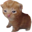 Avatar for qayyim_dengar