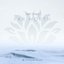 Far North