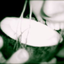 Avatar for Calcidiol