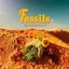 Fossils