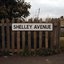 Shelley Avenue