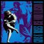 Use Your Illusion II (Explicit Version)