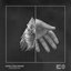 Foxter EP