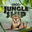 Jungle Ship - Single