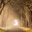 A New Beginning