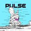 Pulse: FINAL FANTASY XIV Remix Album Vol. 2 (Session 1)
