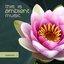 This is ambient music  selection 1