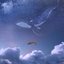 soaring 2