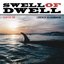 Swell Of Dwell