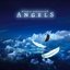 Angels (Limited Edition)