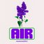 Air