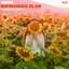 Nowhere Else