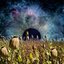 Horizons of Events