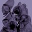 Drama (Airlie Band Version) - Single