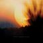 Growing Pains / Go the Distance - Single