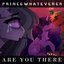 Are You There