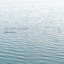 Occam Ocean 3